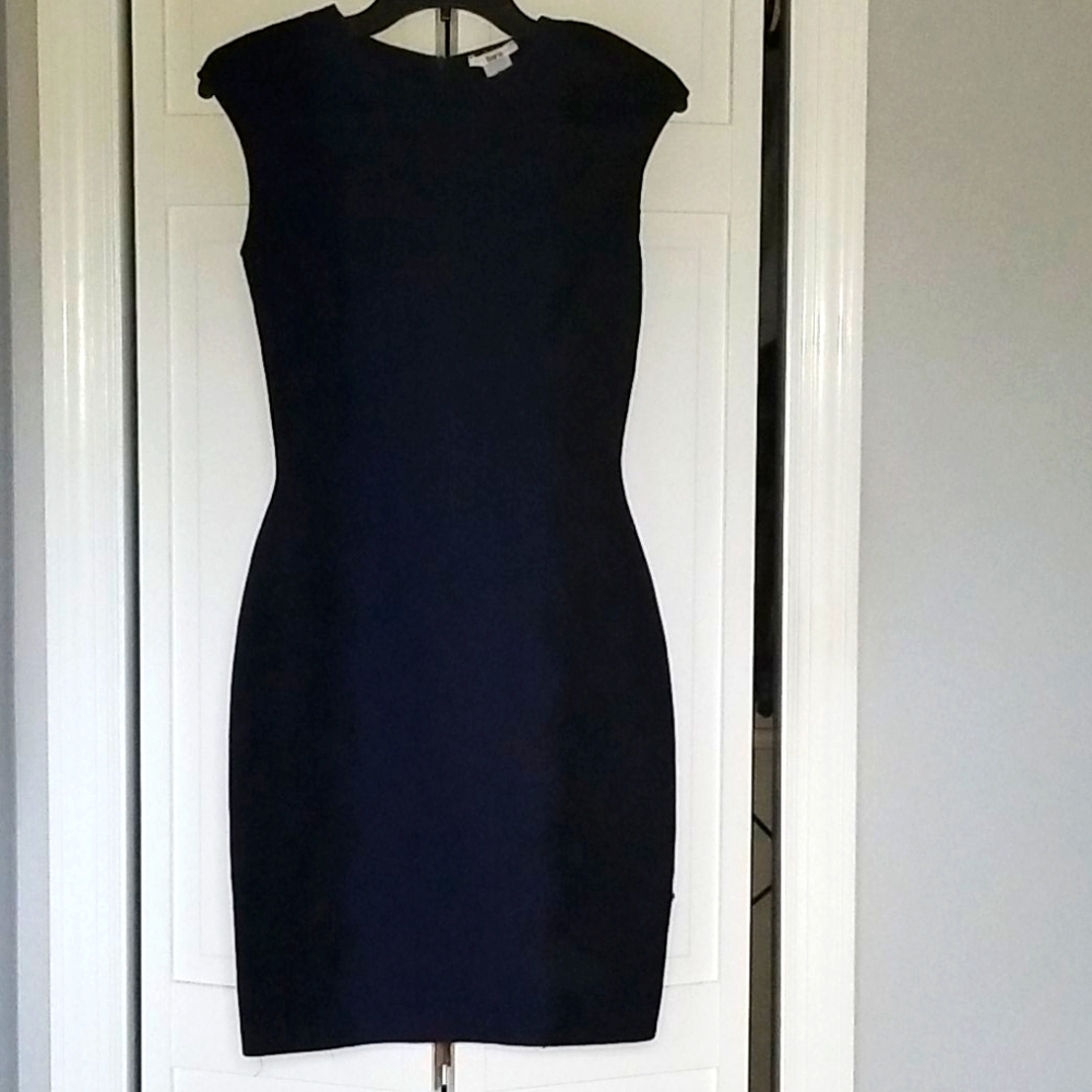 Womans Form Fitting Dress
